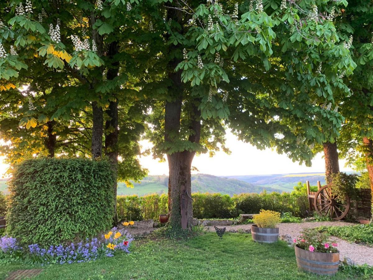Bed and Breakfast La Flavignienne Flavigny-sur-Ozerain Esterno foto