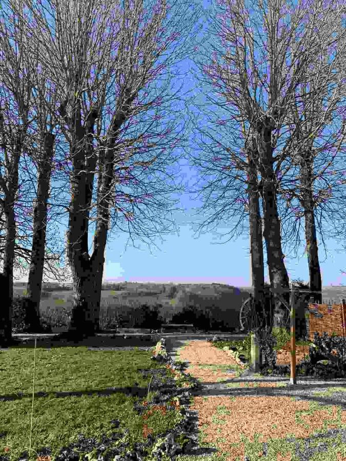 Bed and Breakfast La Flavignienne Flavigny-sur-Ozerain Esterno foto